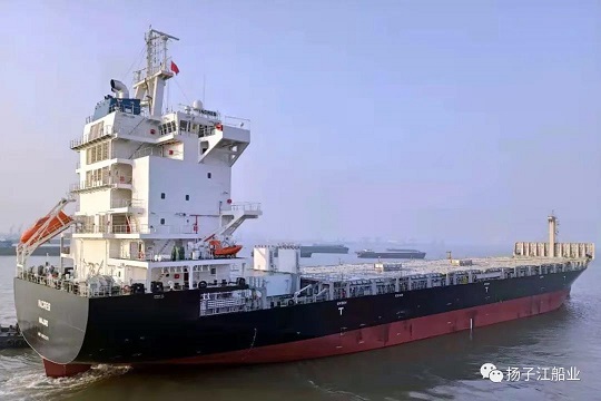 微信图片_20200304123514.jpg